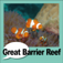 Great Barrier Reef tweet